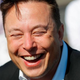 Image for article titled The 11 Wildest Moments from Elon's First Week at Twitter